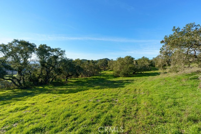 Detail Gallery Image 6 of 29 For 518 Bella Terra Ct, San Luis Obispo,  CA 93401 - – Beds | – Baths