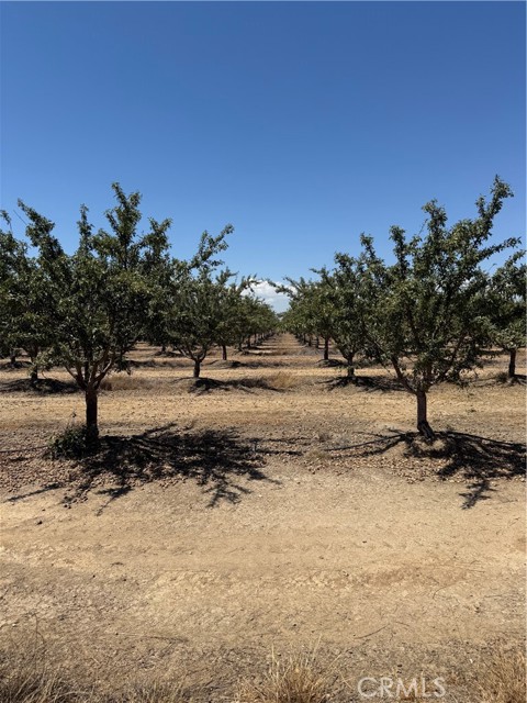 6260 County Road 25, Orland CA: https://media.crmls.org/medias/561d6141-03f2-451a-8078-d0a9b1bfb045.jpg
