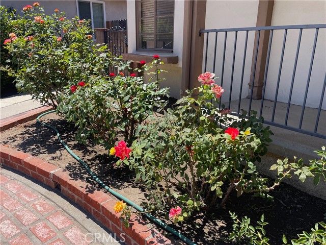 Detail Gallery Image 21 of 26 For 10513 Grovedale Dr, Whittier,  CA 90603 - 3 Beds | 2 Baths