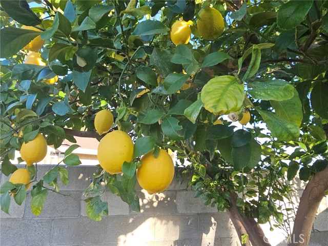 Detail Gallery Image 25 of 26 For 2637 Mirada St, Highland,  CA 92346 - 4 Beds | 2 Baths