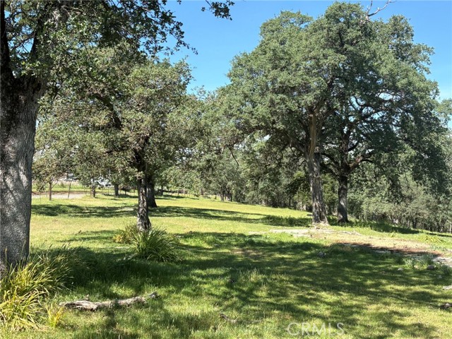 Detail Gallery Image 3 of 26 For 3465 Foothill Bld, Oroville,  CA 95966 - – Beds | – Baths