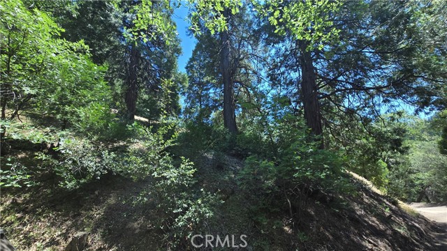 Detail Gallery Image 6 of 9 For 22496 Mojave River Rd, Cedarpines Park,  CA 92322 - – Beds | – Baths