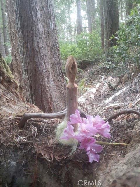 Detail Gallery Image 54 of 58 For 38160 Ocean Ridge Dr, Gualala,  CA 95445 - – Beds | – Baths