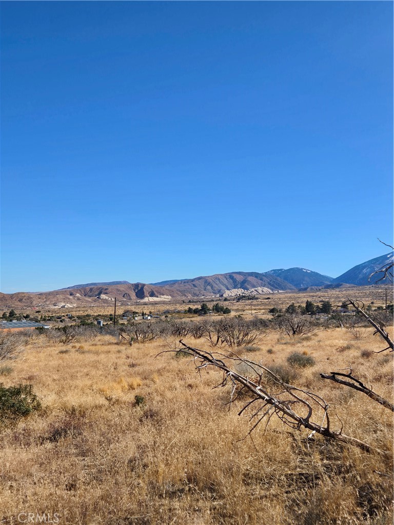 MLS #IG25037440 img 4