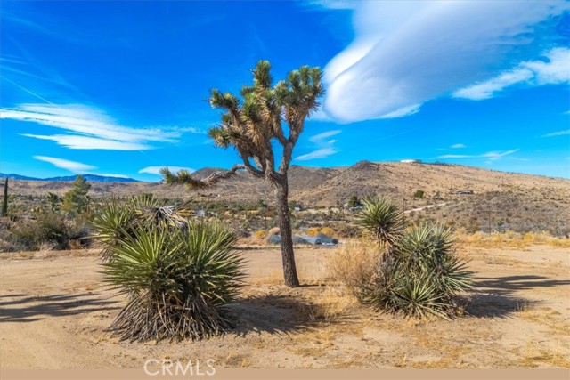 Detail Gallery Image 41 of 43 For 56665 Paseo Los Ninos, Yucca Valley,  CA 92284 - 0 Beds | 1 Baths