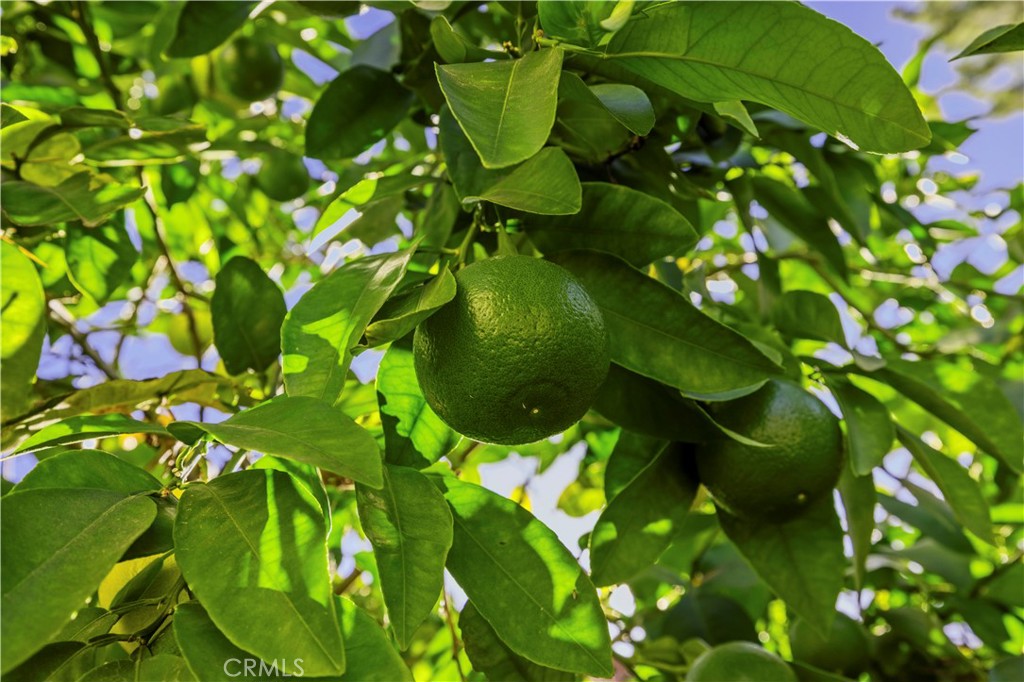 https://media.crmls.org/medias/563ad468-704f-4974-ba17-3c9393f4af84.jpg?preset=X-Large