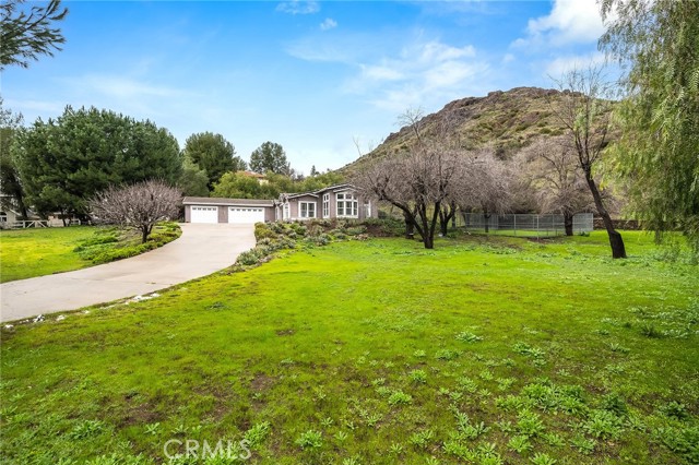 31041 Lobo Canyon Road photo 5