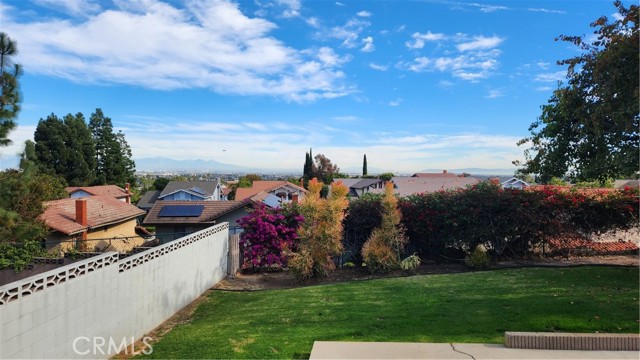 Backyard Views