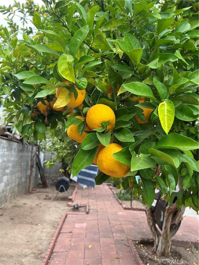 https://media.crmls.org/medias/56427ad4-65c8-4937-a256-3388a7cd1771.jpg?preset=X-Large
