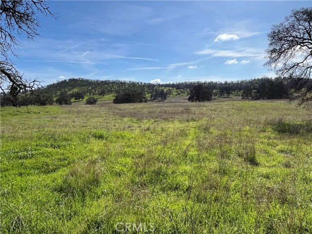 Detail Gallery Image 5 of 17 For 2463 Old Hwy, Catheys Valley,  CA 95306 - – Beds | – Baths