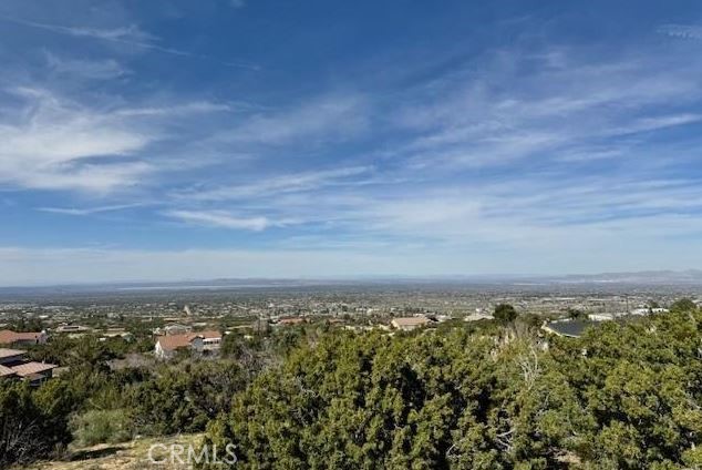 Detail Gallery Image 5 of 8 For 0 Snow Valley Rd., Pinon Hills,  CA 92372 - – Beds | – Baths