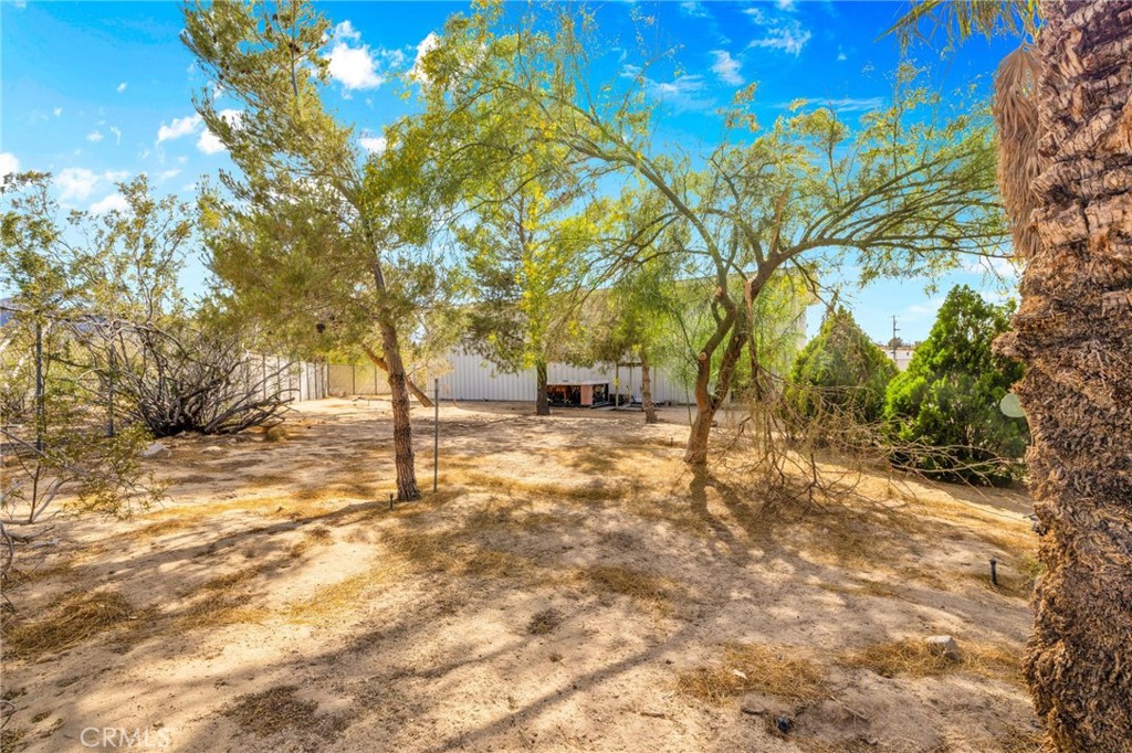 MLS #JT25098777 img 38