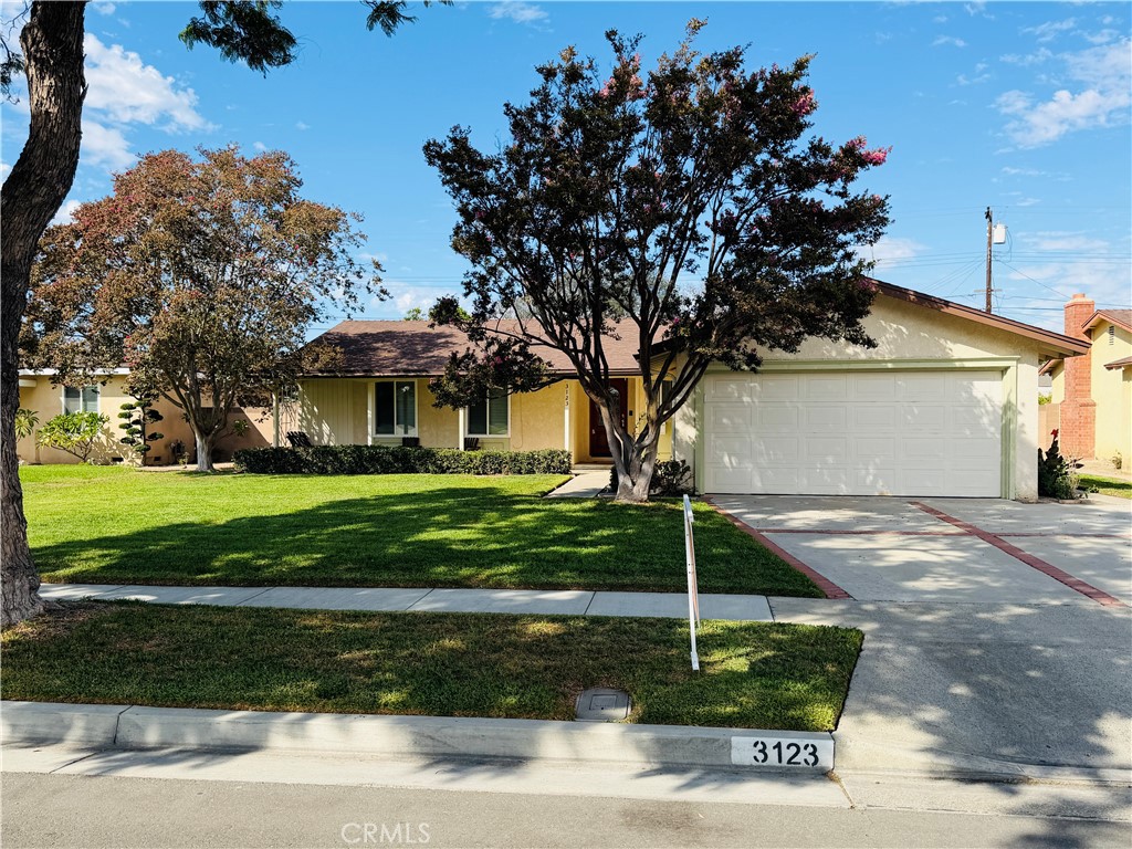 3123 W Teranimar