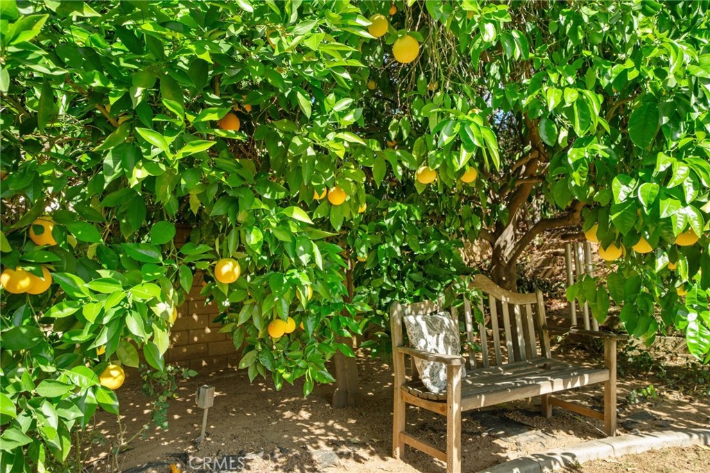 https://media.crmls.org/medias/564bd0e8-164a-471e-96fa-d5288f0c3187.jpg?preset=X-Large
