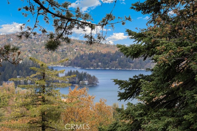 529 Dover Court, Lake Arrowhead, CA 92352