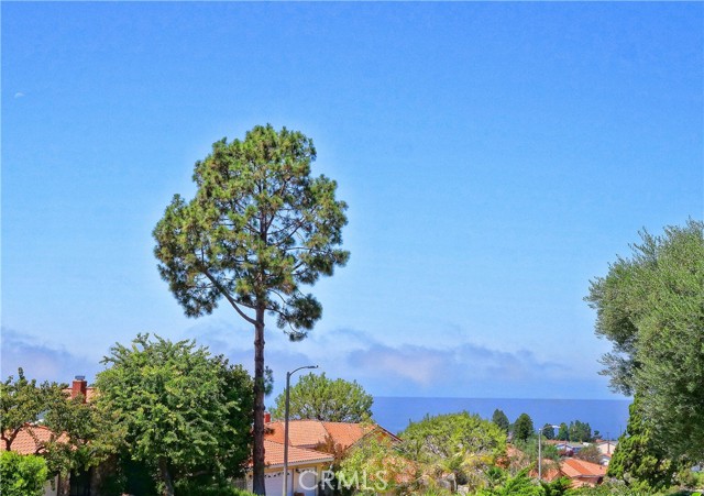 28818 Doverridge Drive, Rancho Palos Verdes, California 90275, 4 Bedrooms Bedrooms, ,1 BathroomBathrooms,Residential,Sold,Doverridge,PV22183807