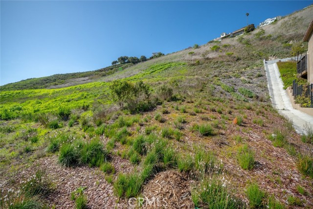 991 Canyon Lane, Pismo Beach, California 93449, ,Land,For Sale,991 Canyon Lane,CRSC24040162