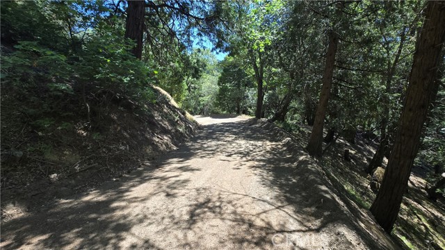 Detail Gallery Image 5 of 9 For 22496 Mojave River Rd, Cedarpines Park,  CA 92322 - – Beds | – Baths