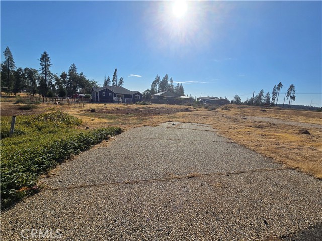 Front Image Thumbnail for CRPA26045512