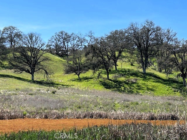 Front Image Thumbnail for CROC25264948