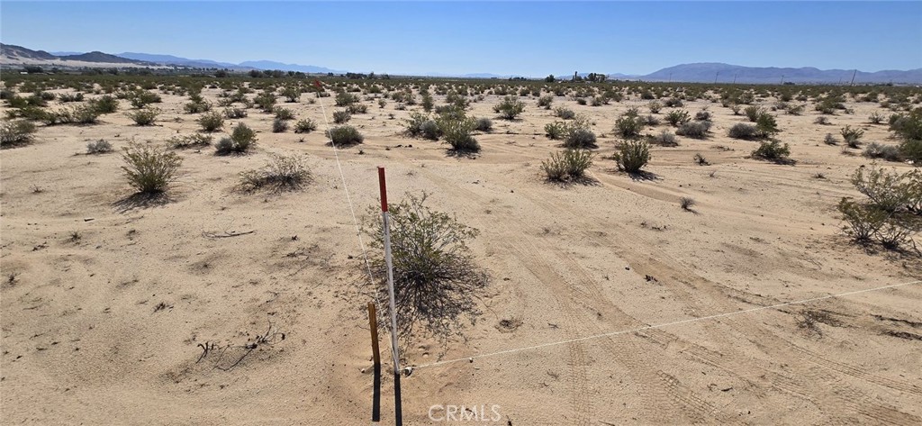 MLS #DW25164142 image #6