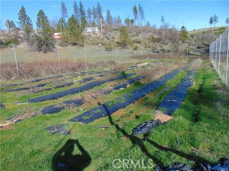 145 Golden Hawk Lane, Oroville, California 95965, ,Land,For Sale,145 Golden Hawk Lane,CRSN24047536