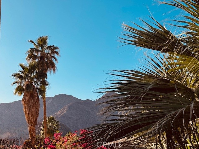 Detail Gallery Image 20 of 20 For 51225 Eisenhower Dr #B,  La Quinta,  CA 92253 - 2 Beds | 2 Baths