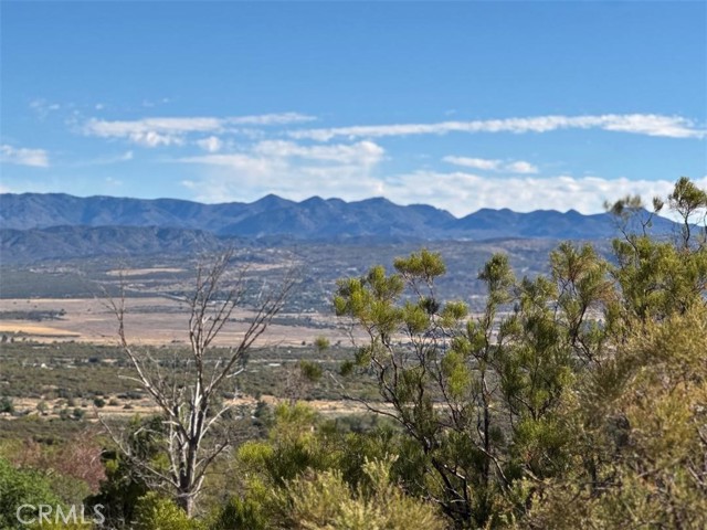 0 Chapman Road, Anza CA: https://media.crmls.org/medias/5683aef7-e324-42e4-b319-8e215859a282.jpg