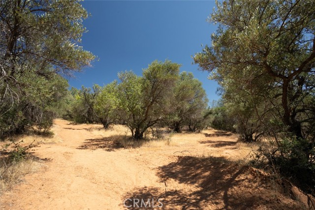 56 Canal Drive, Oroville, California 95966, ,Land,For Sale,56 Canal Drive,CROR23137441