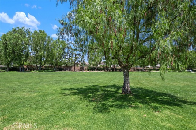 1788 Agrigento Avenue, Riverside CA: https://media.crmls.org/medias/56876ee6-aef1-4108-8215-2790395c06a7.jpg