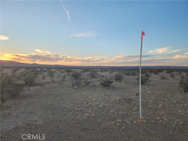 Detail Gallery Image 3 of 7 For 34 Panamint Trl, Helendale,  CA 92342 - – Beds | – Baths