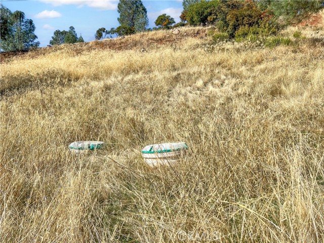 Detail Gallery Image 5 of 9 For 10203 El Capitan, Kelseyville,  CA 95451 - – Beds | – Baths