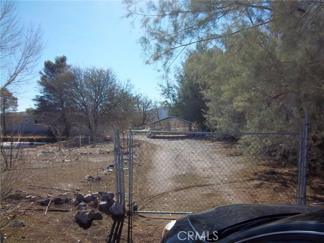Image 3 for 46699 Magney Ln, Newberry Springs, CA 92365