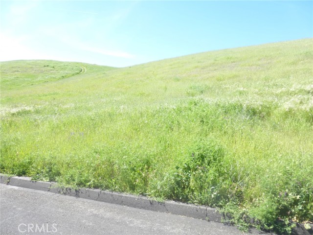 Detail Gallery Image 23 of 75 For 0 Douglas Rd. (Lots 28, 33 & 34), San Miguel,  CA 93451 - – Beds | – Baths