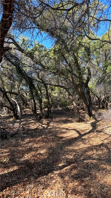 0 Rich Gulch Road, Yankee Hill, California 95965, ,Land,For Sale,0 Rich Gulch Road,CRSN23101845