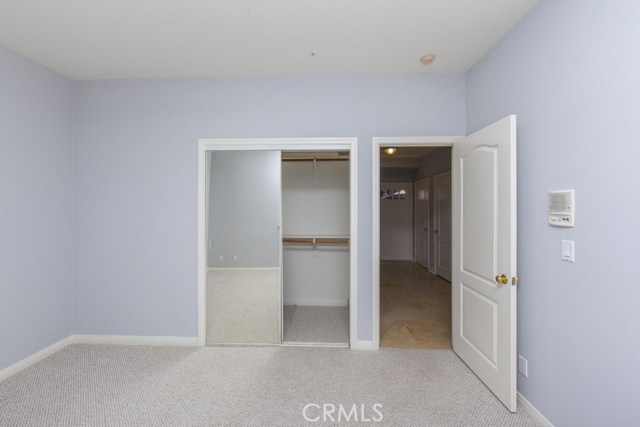 Lower level bedroom #2 with spacious closet