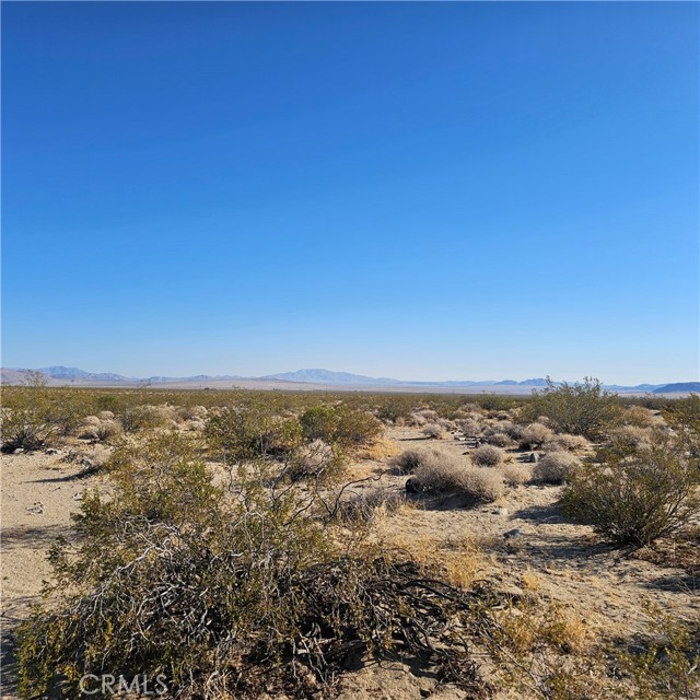 Detail Gallery Image 1 of 6 For 1234 Walker Rd, Johnson Valley,  CA 92285 - – Beds | – Baths