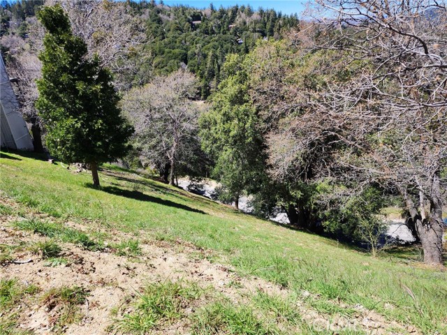 Image 2 for 0 Delle Dr, Crestline, CA 92325