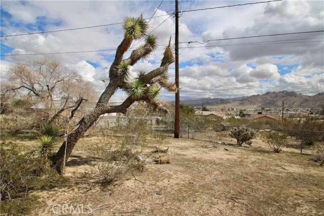 Detail Gallery Image 19 of 20 For 6083 Panorama St, Joshua Tree,  CA 92252 - – Beds | – Baths