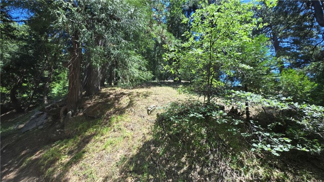 Detail Gallery Image 3 of 9 For 22496 Mojave River Rd, Cedarpines Park,  CA 92322 - – Beds | – Baths