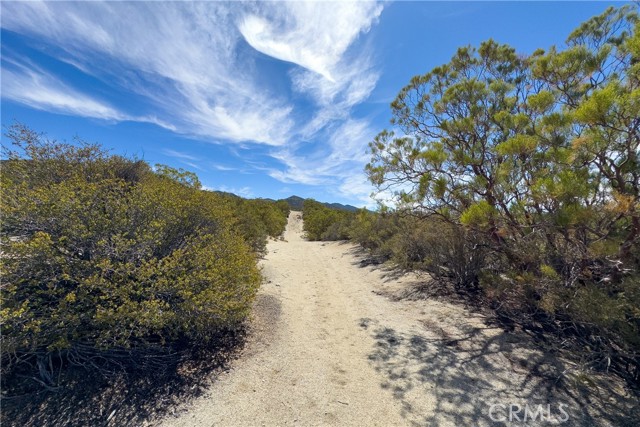 Detail Gallery Image 3 of 22 For 1 Old Stone Hill Rd, Warner Springs,  CA 92086 - – Beds | – Baths