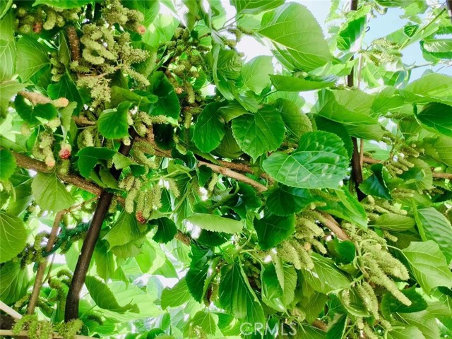 Detail Gallery Image 39 of 39 For Address Is Not Disclosed, Gardena,  CA 90249 - 5 Beds | 4 Baths