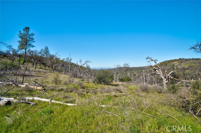 Detail Gallery Image 31 of 32 For 300 Stoney Oaks Bld, Oroville,  CA 95966 - 3 Beds | 2/1 Baths