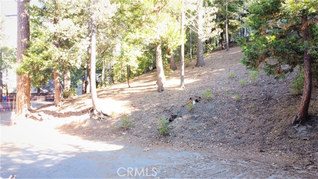 Detail Gallery Image 10 of 12 For 330 Castle Gate Rd, Lake Arrowhead,  CA 92352 - – Beds | – Baths