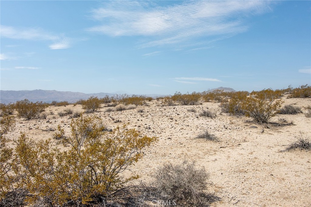 MLS #JT25181027 image #15