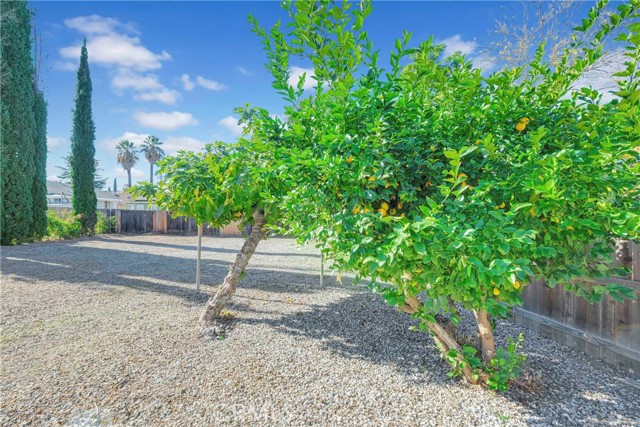 Detail Gallery Image 8 of 25 For 250 Sonora St, Redlands,  CA 92373 - 2 Beds | 1 Baths