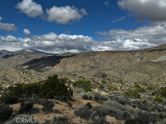 MLS #JT25188299 image #6