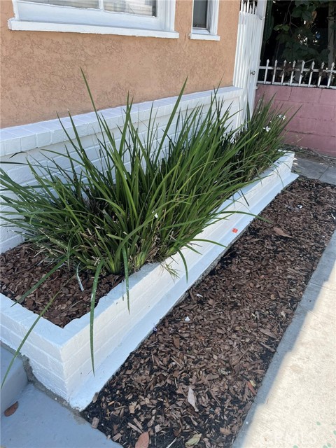 1222 E 10th Street, Long Beach CA: https://media.crmls.org/medias/56c5b307-4ccb-4082-916e-82c4e3c3e074.jpg