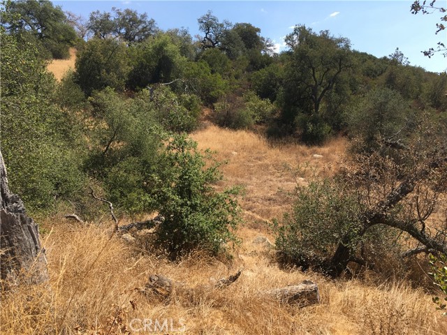 19879 Tenaja Road, Murrieta, California 92562, ,Land,For Sale,19879 Tenaja Road,CRSW22195708