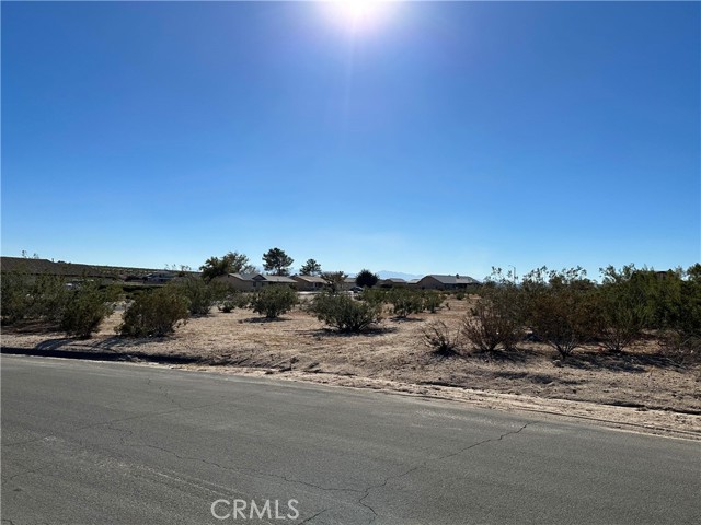 26634 Red Coach Lane, Helendale, California 92342, ,Land,For Sale,26634 Red Coach Lane,CRHD23206389